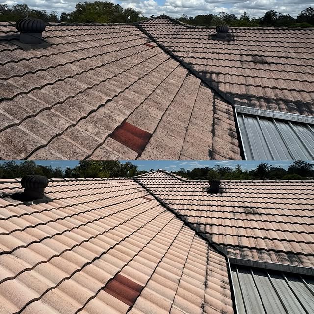 Roof cleaning before and after results