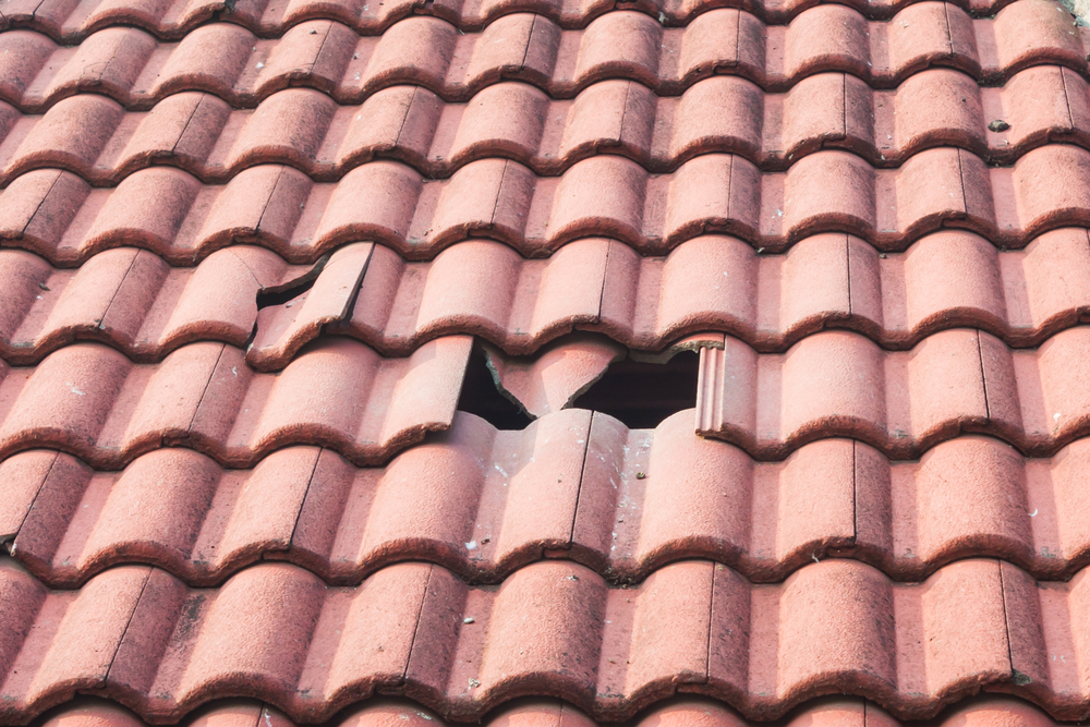 Roof Repairs by BGT Roofing In Molendinar
